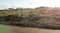Terreno no Jd das Orquideas em Barra Bonita